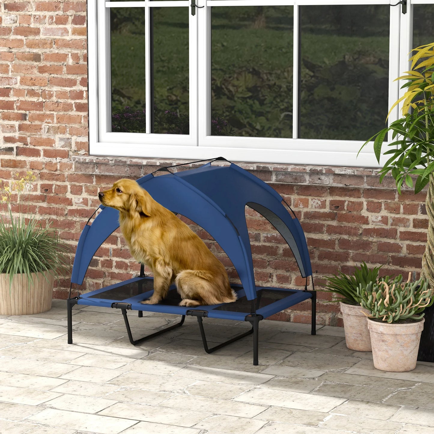 Cama Elevada con Dossel Vielsa™ – Azul Profundo