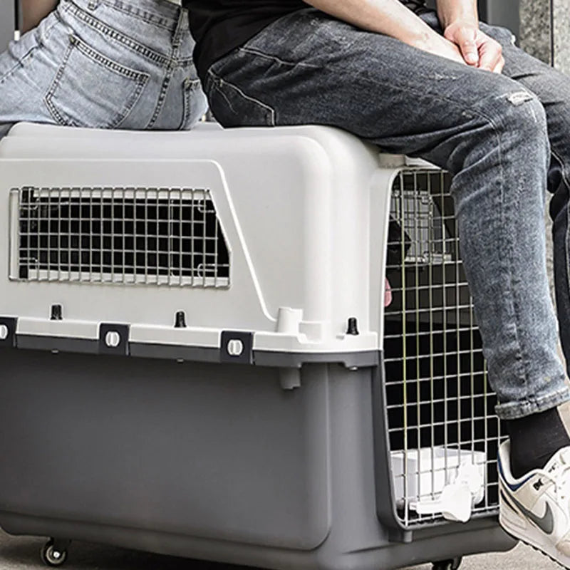 Móbilis™ — Transportín de Viaje de Alta Seguridad para Mascotas