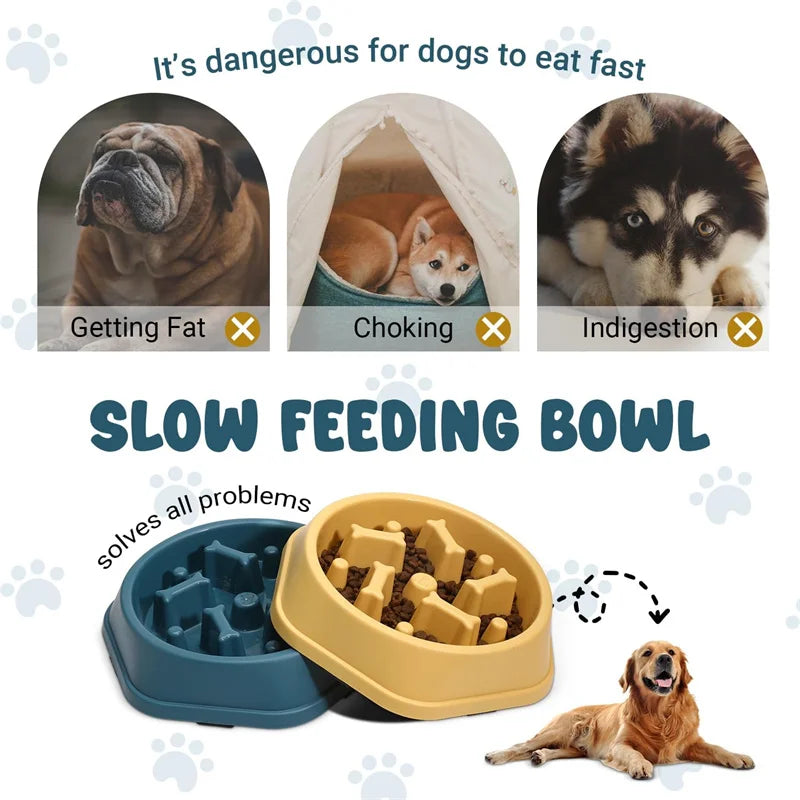 TRAGA™ es un cuenco de alimentación lenta fabricado en plástico resistente, diseñado para reducir la velocidad al comer, evitar atragantamientos y mejorar la salud digestiva de tu perro.