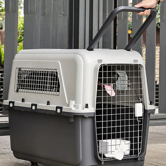 Móbilis™ — Transportín de Viaje de Alta Seguridad para Mascotas
