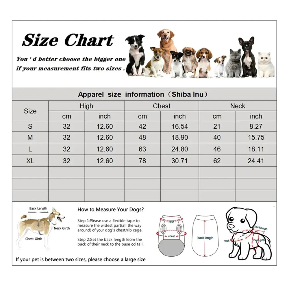 REINOPET™ – Disfraz navideño con Papá Noel a caballo