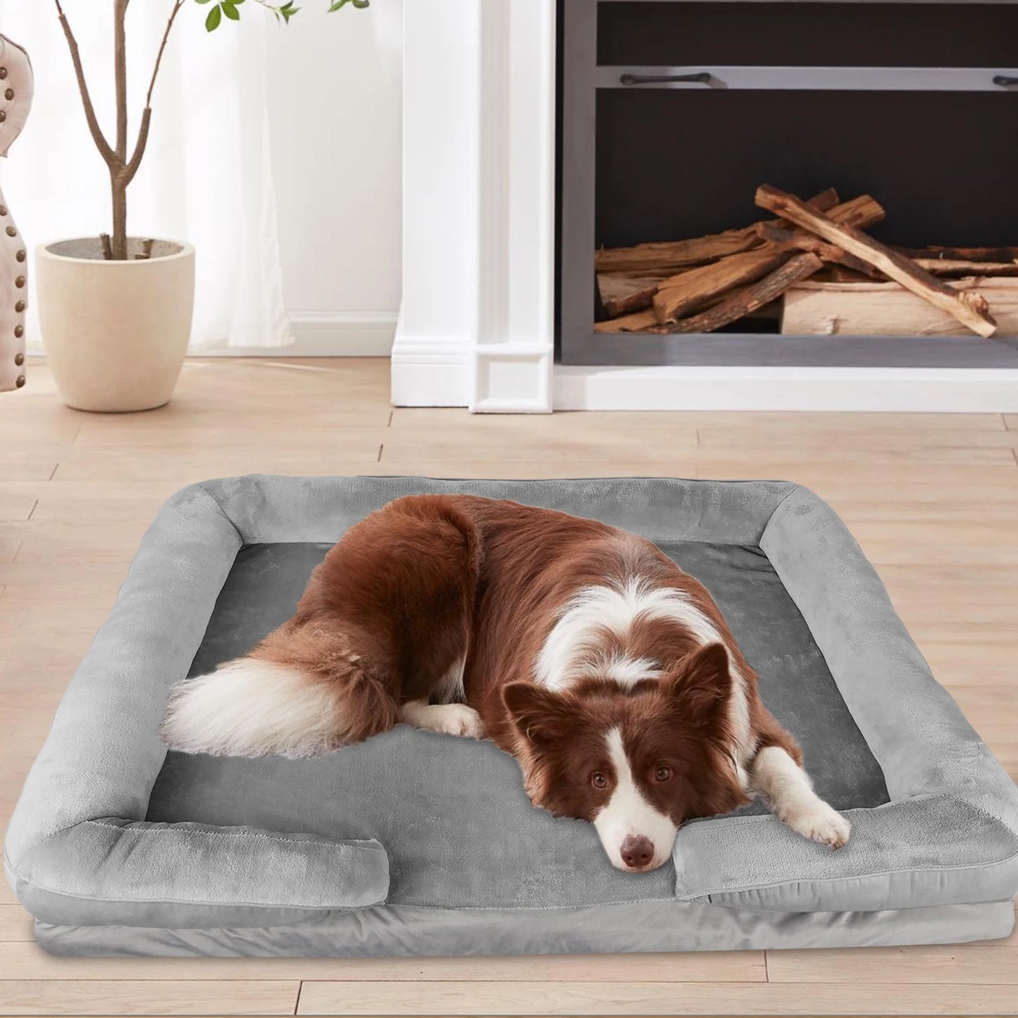DogComfy™ – Conforto Terapéutico para tu Pet