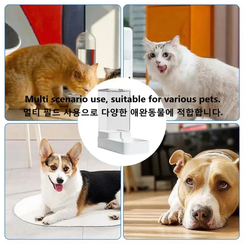 GRAVA™ Tu mascota siempre alimentada, sin esfuerzo.