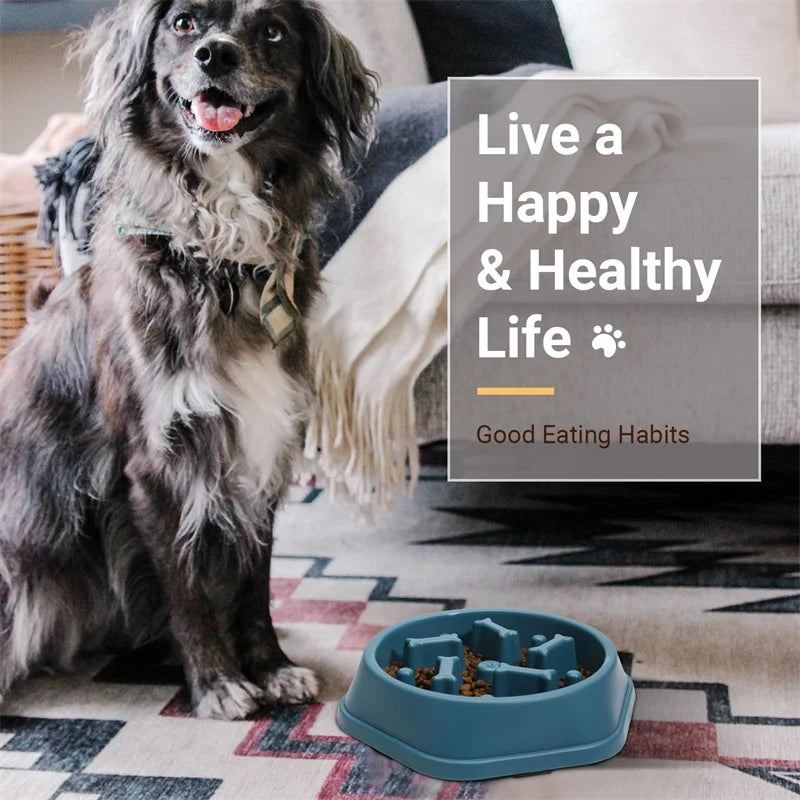 TRAGA™ es un cuenco de alimentación lenta fabricado en plástico resistente, diseñado para reducir la velocidad al comer, evitar atragantamientos y mejorar la salud digestiva de tu perro.