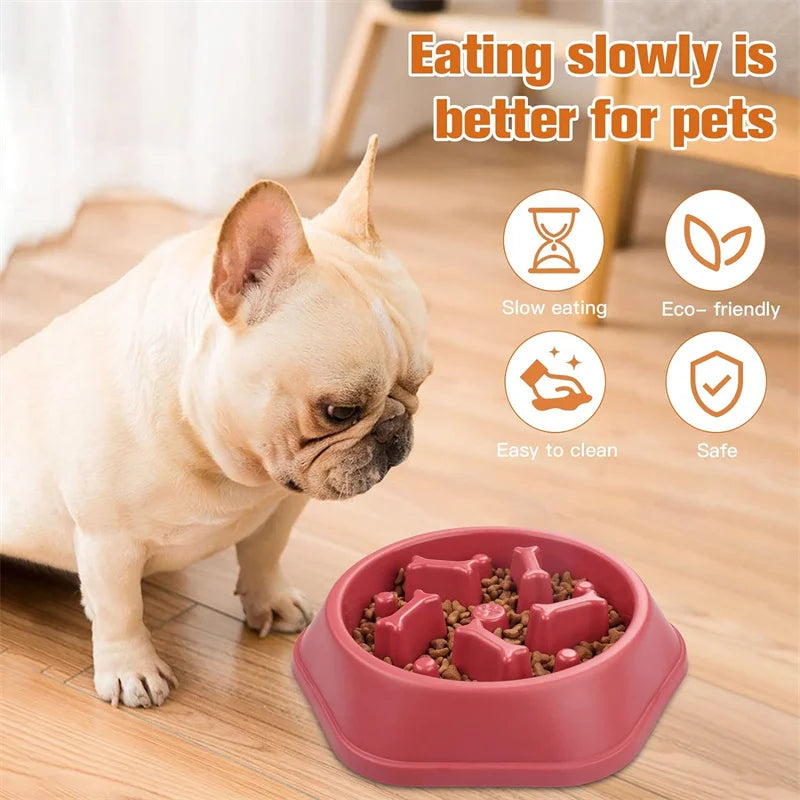 TRAGA™ es un cuenco de alimentación lenta fabricado en plástico resistente, diseñado para reducir la velocidad al comer, evitar atragantamientos y mejorar la salud digestiva de tu perro.