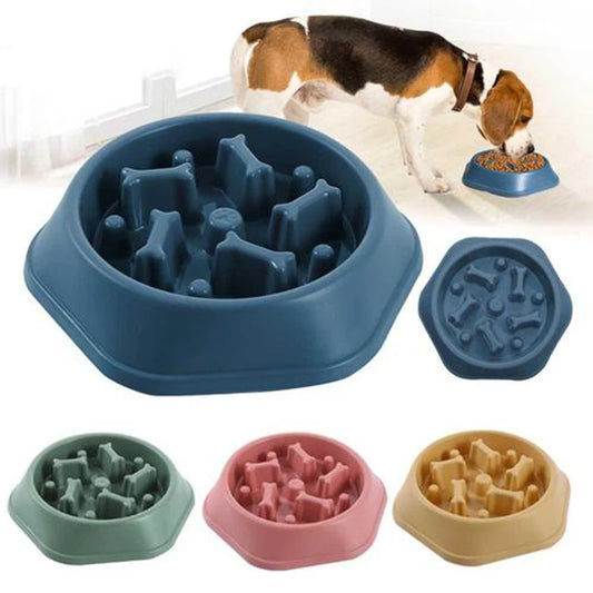 TRAGA™ es un cuenco de alimentación lenta fabricado en plástico resistente, diseñado para reducir la velocidad al comer, evitar atragantamientos y mejorar la salud digestiva de tu perro.