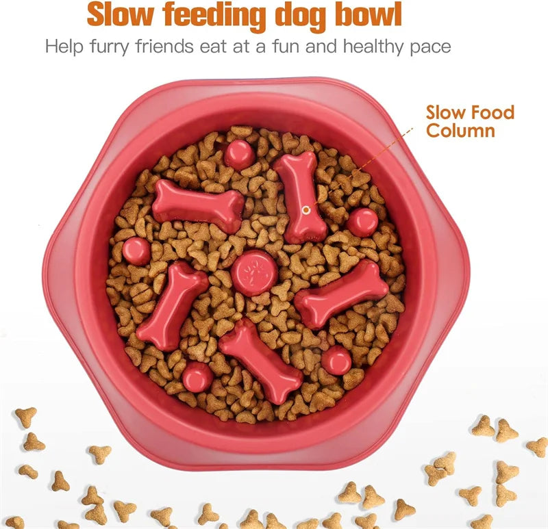 TRAGA™ es un cuenco de alimentación lenta fabricado en plástico resistente, diseñado para reducir la velocidad al comer, evitar atragantamientos y mejorar la salud digestiva de tu perro.