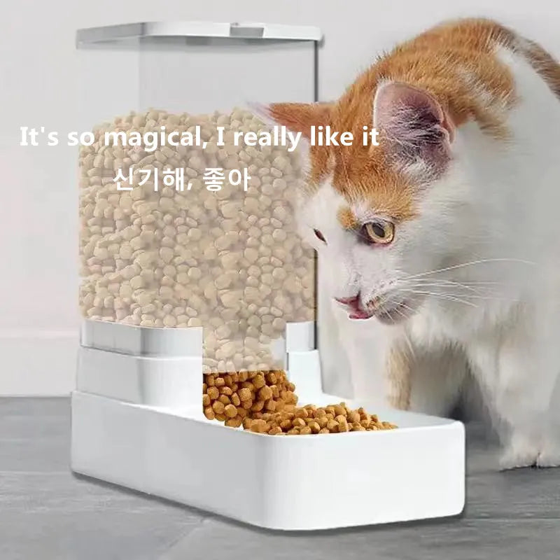 GRAVA™ Tu mascota siempre alimentada, sin esfuerzo.