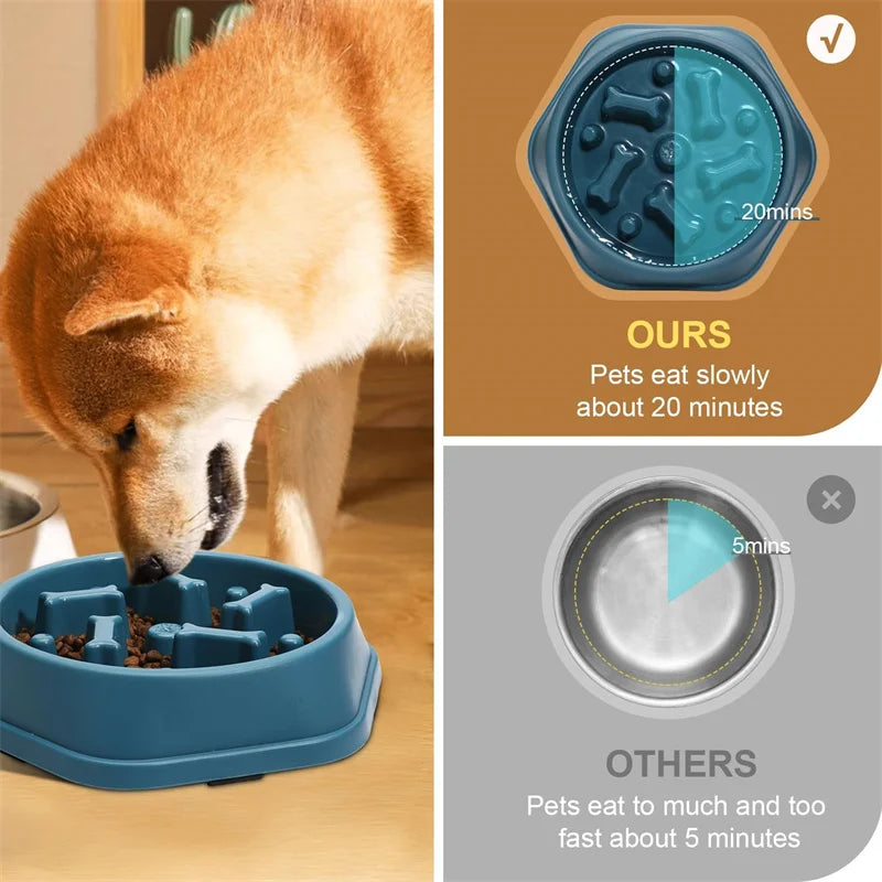 TRAGA™ es un cuenco de alimentación lenta fabricado en plástico resistente, diseñado para reducir la velocidad al comer, evitar atragantamientos y mejorar la salud digestiva de tu perro.