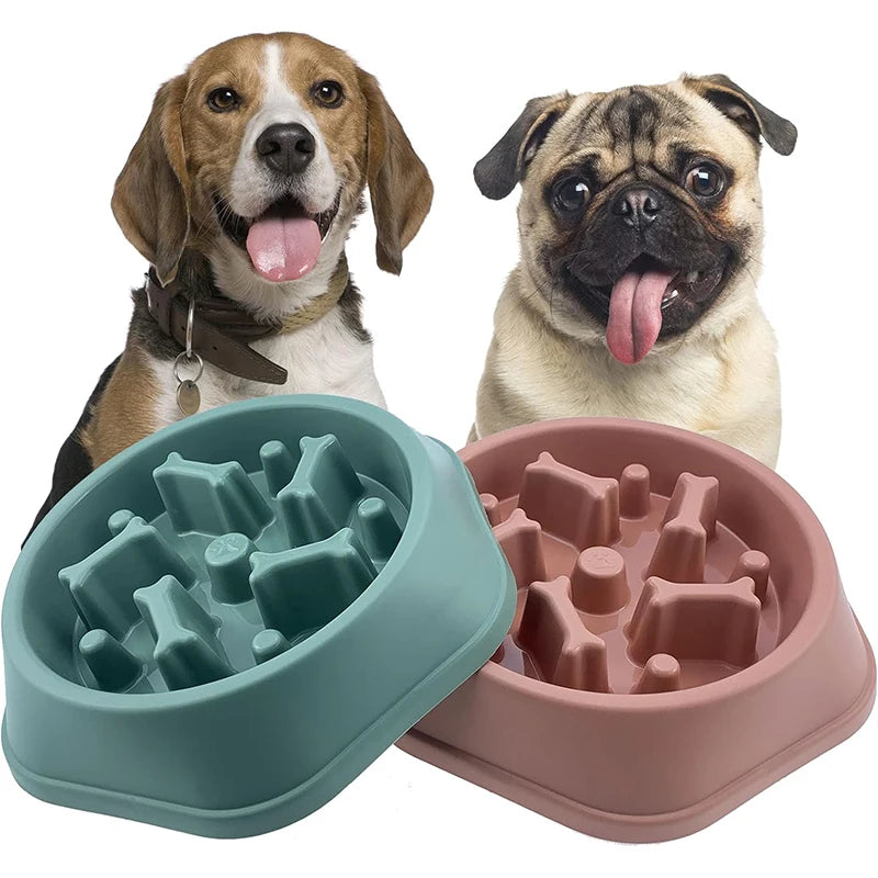 TRAGA™ es un cuenco de alimentación lenta fabricado en plástico resistente, diseñado para reducir la velocidad al comer, evitar atragantamientos y mejorar la salud digestiva de tu perro.