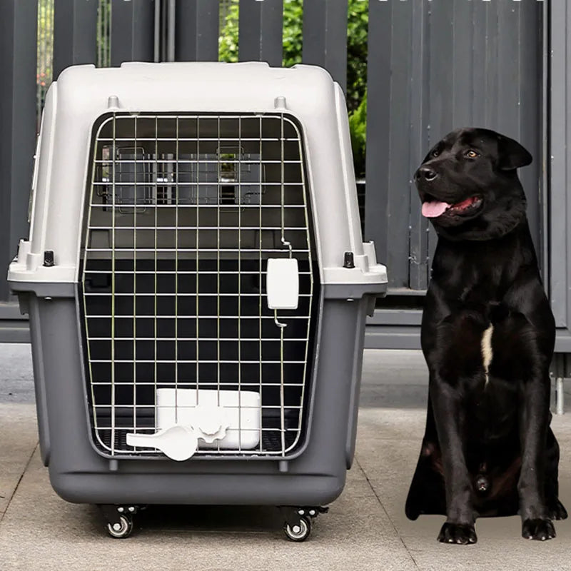 Móbilis™ — Transportín de Viaje de Alta Seguridad para Mascotas