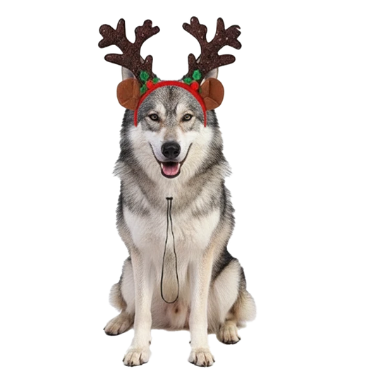 ASTAPET™ – Diadema navideña con astas para perros y gatos