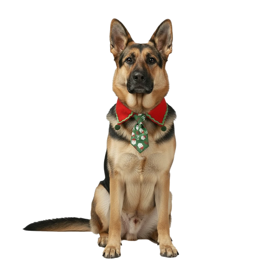 FIESTAPET™ – Pajarita navideña para perros
